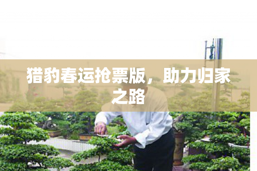 猎豹春运抢票版图片