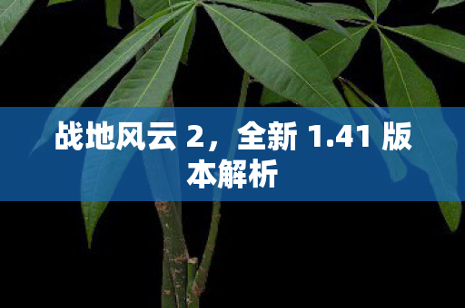 41 版本解析图片
