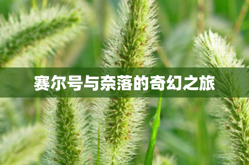 赛尔号与奈落的奇幻之旅图片