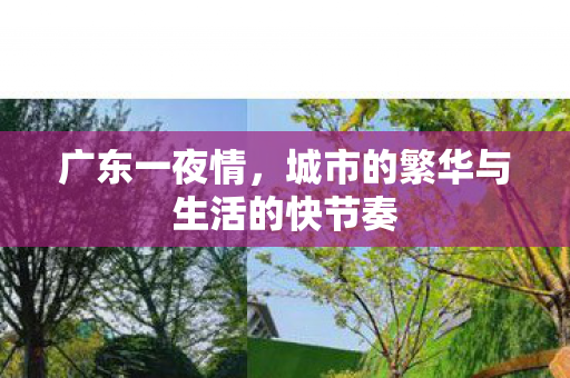 城市的繁华与生活的快节奏图片