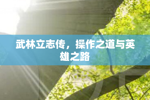 操作之道与英雄之路图片