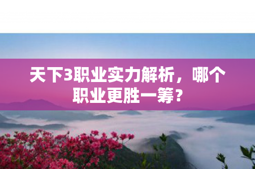 天下3职业实力解析图片