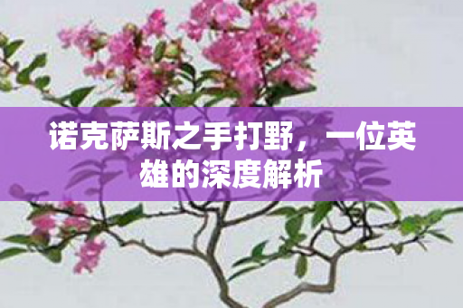 一位英雄的深度解析图片