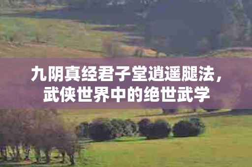 九阴真经君子堂逍遥腿法图片