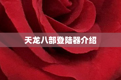 天龙八部登陆器介绍图片