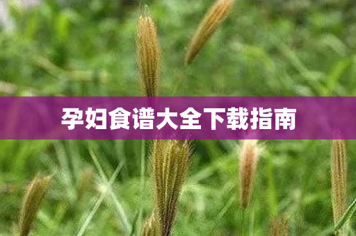 孕妇食谱大全下载指南图片