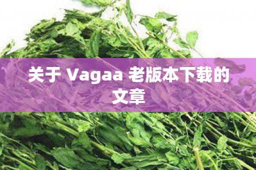 关于 Vagaa 老版本下载的文章图片
