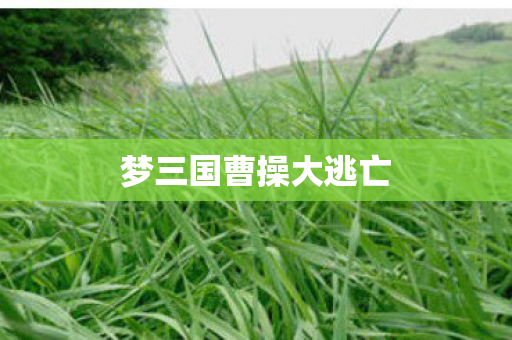 梦三国曹操大逃亡图片