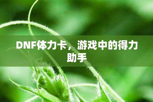 游戏中的得力助手图片