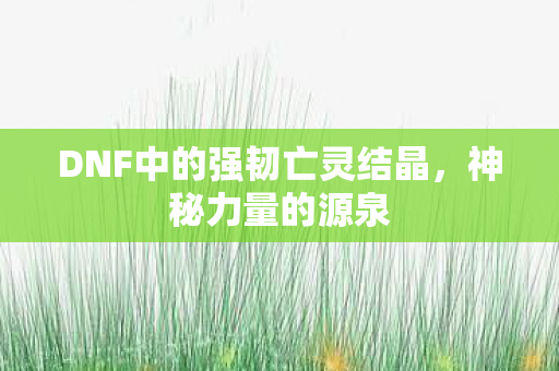DNF中的强韧亡灵结晶图片