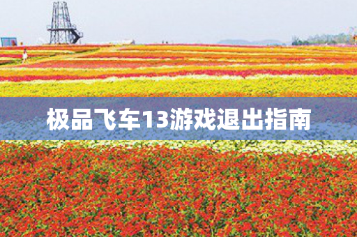 极品飞车13游戏退出指南图片