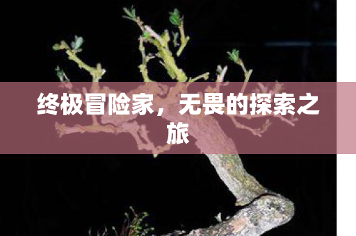 无畏的探索之旅图片