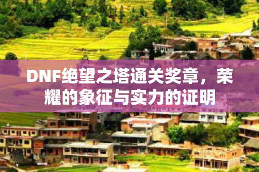 DNF绝望之塔通关奖章图片