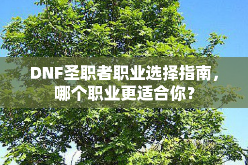 DNF圣职者职业选择指南图片