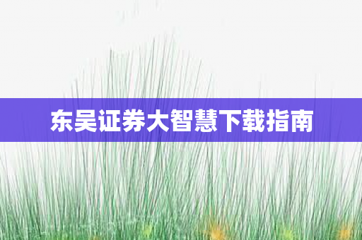 东吴证券大智慧下载指南图片