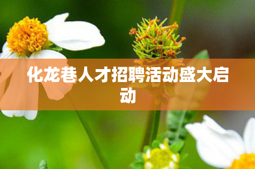 化龙巷人才招聘活动盛大启动图片