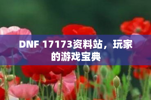DNF 17173资料站图片