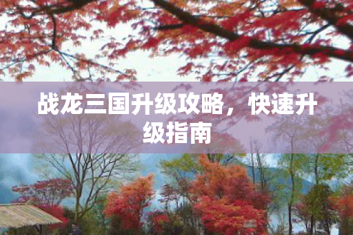 战龙三国升级攻略图片