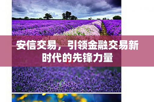 引领金融交易新时代的先锋力量图片