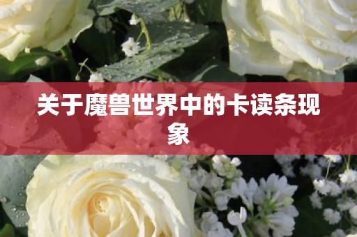 关于魔兽世界中的卡读条现象图片