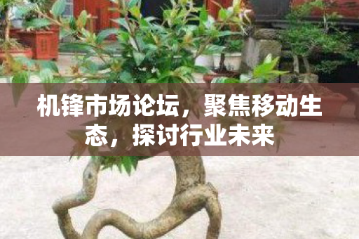 机锋市场论坛图片