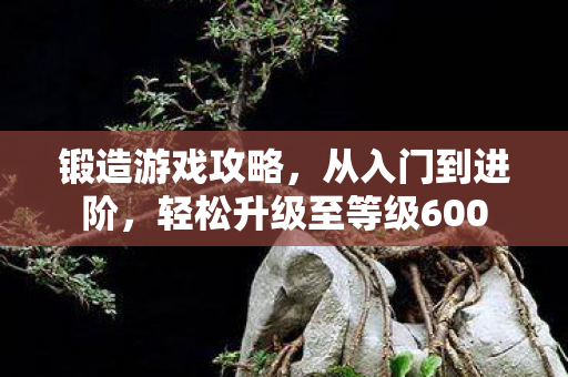 轻松升级至等级600图片
