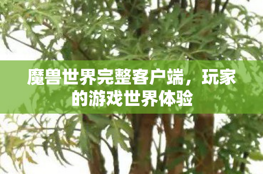 魔兽世界完整客户端图片