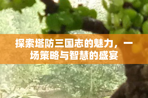 探索塔防三国志的魅力图片