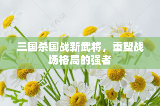 重塑战场格局的强者图片
