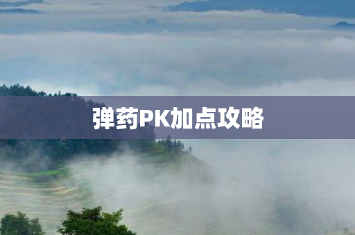 弹药PK加点攻略图片