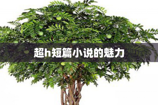 超h短篇小说的魅力图片