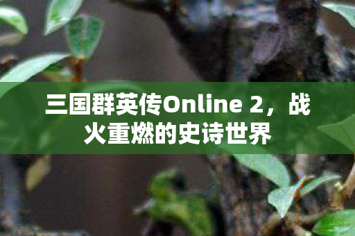 三国群英传Online 2图片