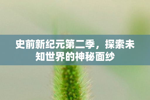 探索未知世界的神秘面纱图片