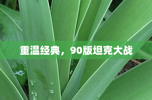 90版坦克大战图片