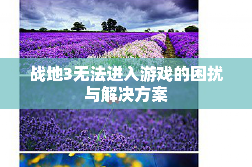 战地3无法进入游戏的困扰与解决方案图片