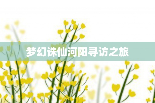 梦幻诛仙河阳寻访之旅图片