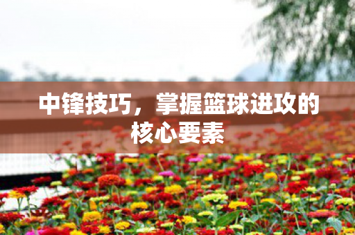 掌握篮球进攻的核心要素图片
