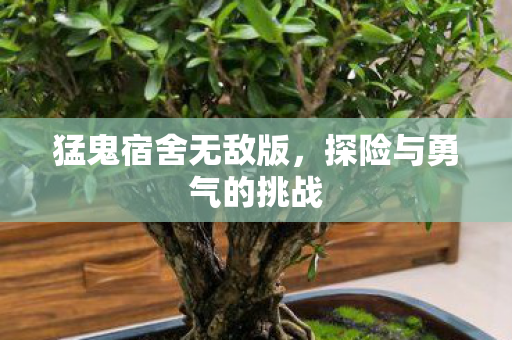 探险与勇气的挑战图片