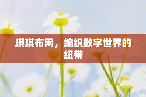 编织数字世界的纽带图片