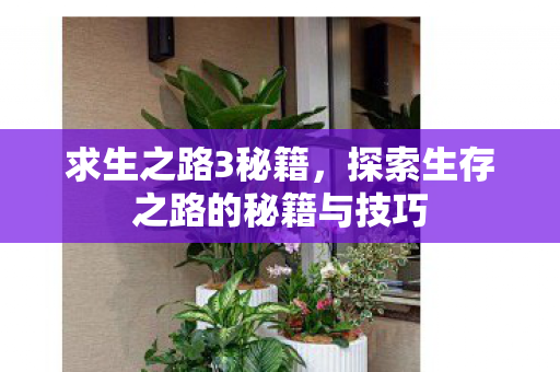 探索生存之路的秘籍与技巧图片