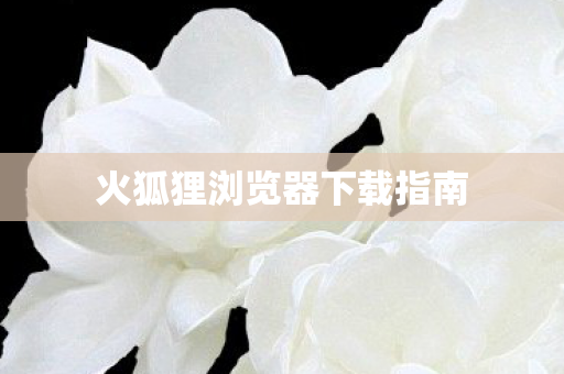 火狐狸浏览器下载指南图片
