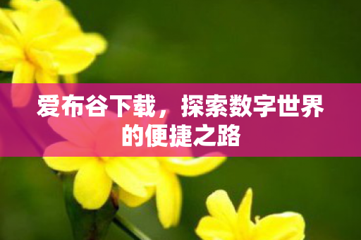 探索数字世界的便捷之路图片