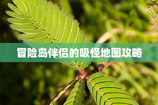 冒险岛伴侣的吸怪地图攻略图片