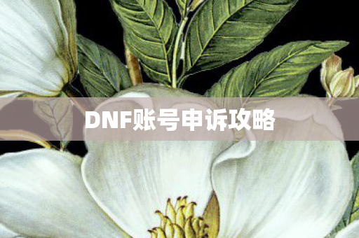 DNF账号申诉攻略图片
