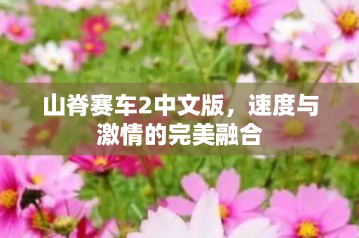 速度与激情的完美融合图片