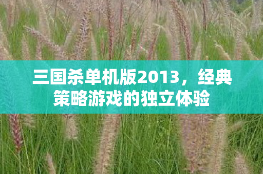 经典策略游戏的独立体验图片