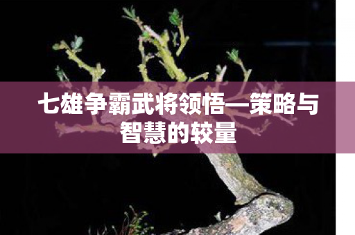 七雄争霸武将领悟图片