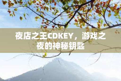 夜店之王CDKEY图片