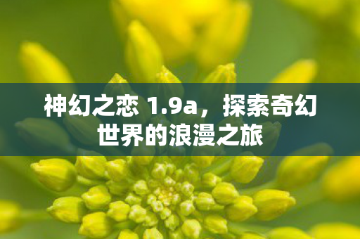 探索奇幻世界的浪漫之旅图片