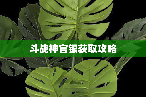 斗战神官银获取攻略图片